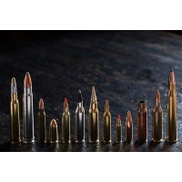 Munitions Winchester cal . 300 Win Mag - grande chasse Balle Power  Point-BW3006 - SARL RAVIGNOT