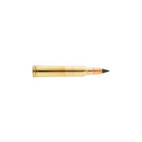Cartouche 300 Winchester Magnum